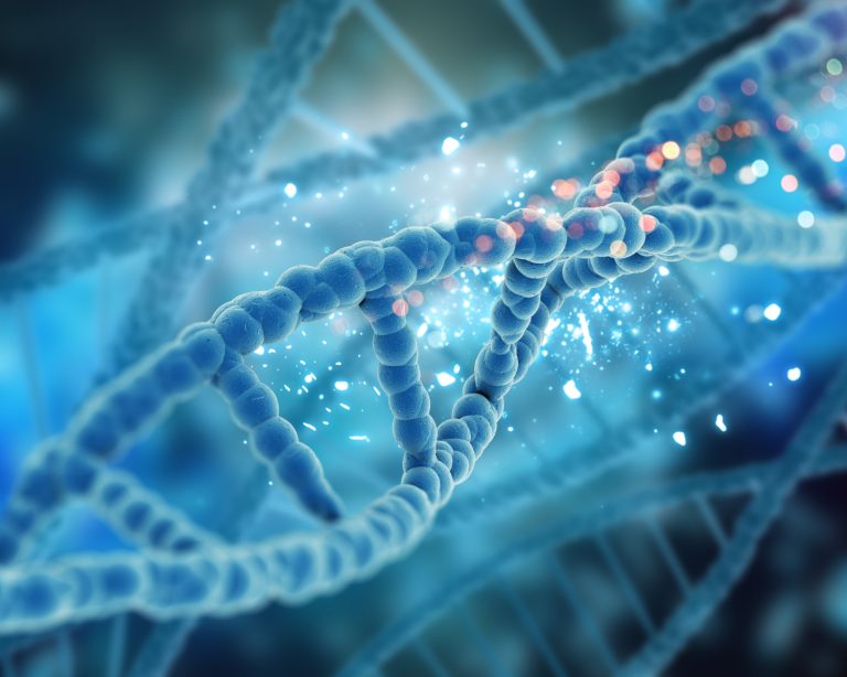 My Top 10 High Impact SNPs for Longevity: Your Genetic Blueprint for How You Age